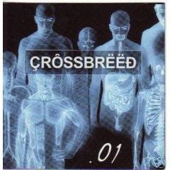Crossbreed (USA) : .01